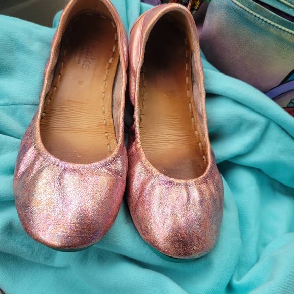 Tieks Shoes - Size 9 Custom Tieks EUC